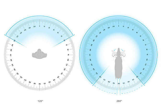 Science behind Evolve Camo