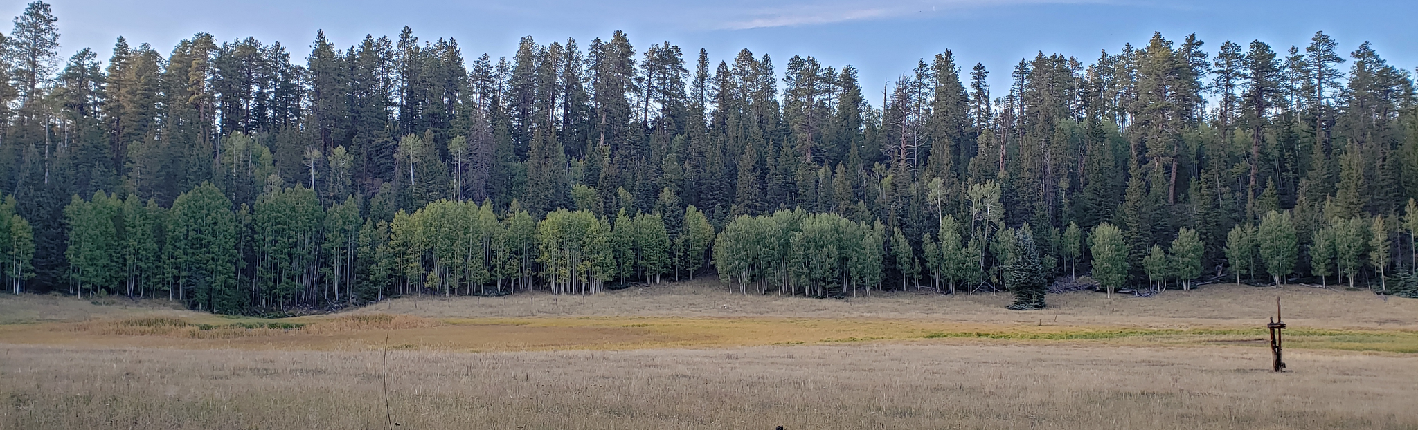 Hunting Base Layer